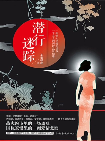 潜行迷踪