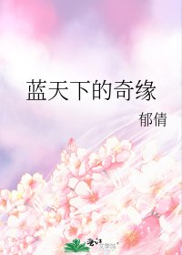 蓝天下的奇缘