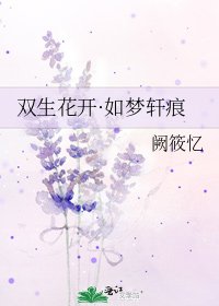 《双生花开·如梦轩痕》