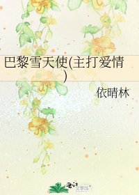 《巴黎雪天使(主打爱情)》