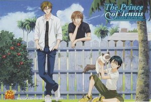 《(网王同人)永远不说爱你》