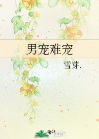男宠难宠