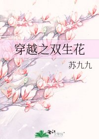 《穿越之双生花》