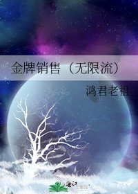 《金牌销售(无限流)》