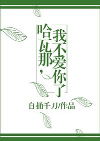 哈瓦那，我不爱你了