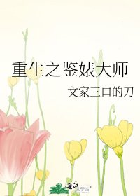 重生之鉴婊大师