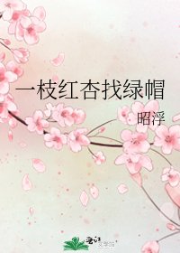 《一枝红杏找绿帽》
