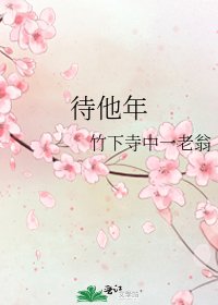 《待他年》