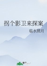 《拐个影卫来探案》