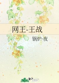 网王-王战
