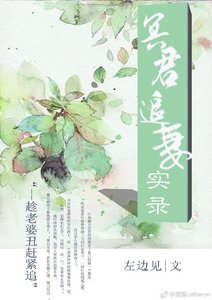 《冥君追妻实录》