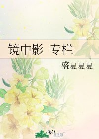 《镜中影 专栏》