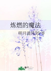 炼燃的魔法
