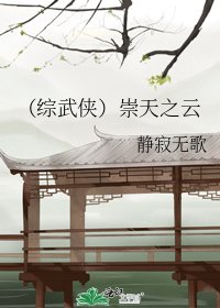 《(综武侠)崇天之云》