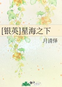 [银英]星海之下