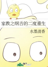 《家教之纲吉的二度重生》