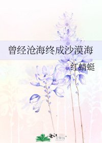 《曾经沧海终成沙漠海》