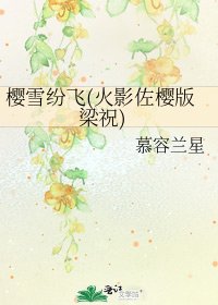 《樱雪纷飞(火影佐樱版梁祝)》
