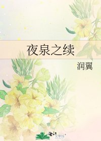 《夜泉之续》