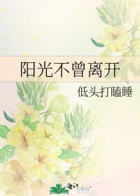 《阳光不曾离开》