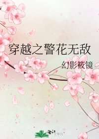 穿越之警花无敌