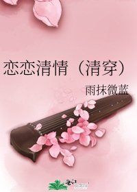 恋恋清情（清穿）