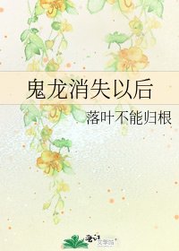 《鬼龙消失以后》