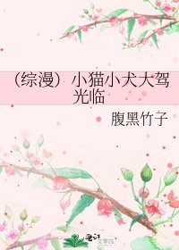 《(综漫)小猫小犬大驾光临》