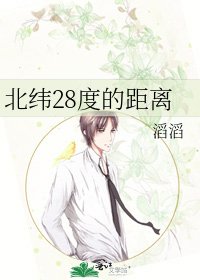 北纬28度的距离
