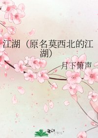《江湖(原名莫西北的江湖)》