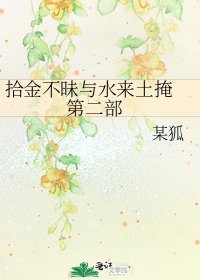 《拾金不昧与水来土掩 第二部》