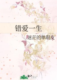 《错爱一生》