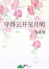 《守得云开见月明》