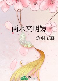 两水夹明镜