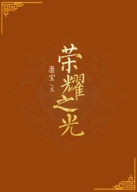 《荣耀之光》