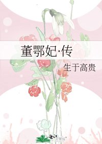 《董鄂妃·传》