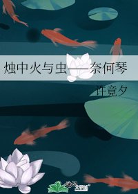 《烛中火与虫——奈何琴》