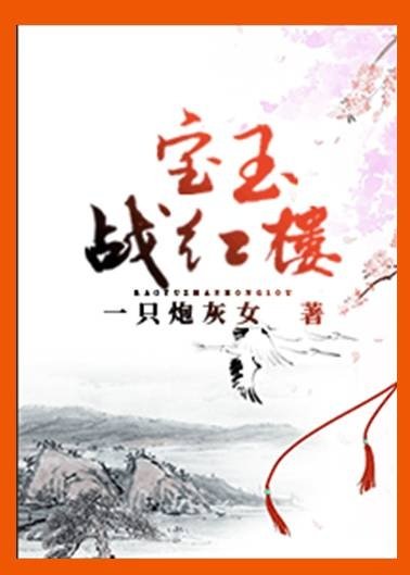 《宝玉战红楼》