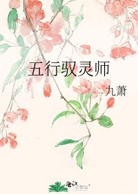 《五行驭灵师》
