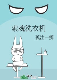 索魂洗衣机