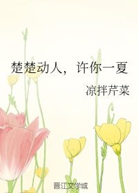 《楚楚冻人,许你一夏》