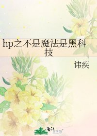 《hp之不是魔法是黑科技》