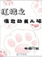 《(红楼同人)红楼之谁敢动我儿砸》