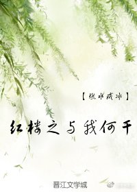 红楼之与我何干