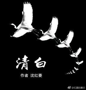 《清白》