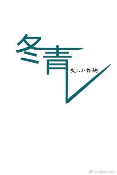 《冬青》