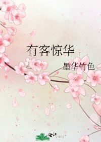 有客惊华