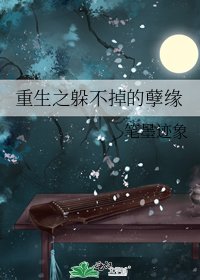 重生之躲不掉的孽缘