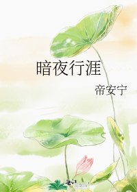 《暗夜行涯》