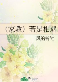 《(家教)若是相遇》